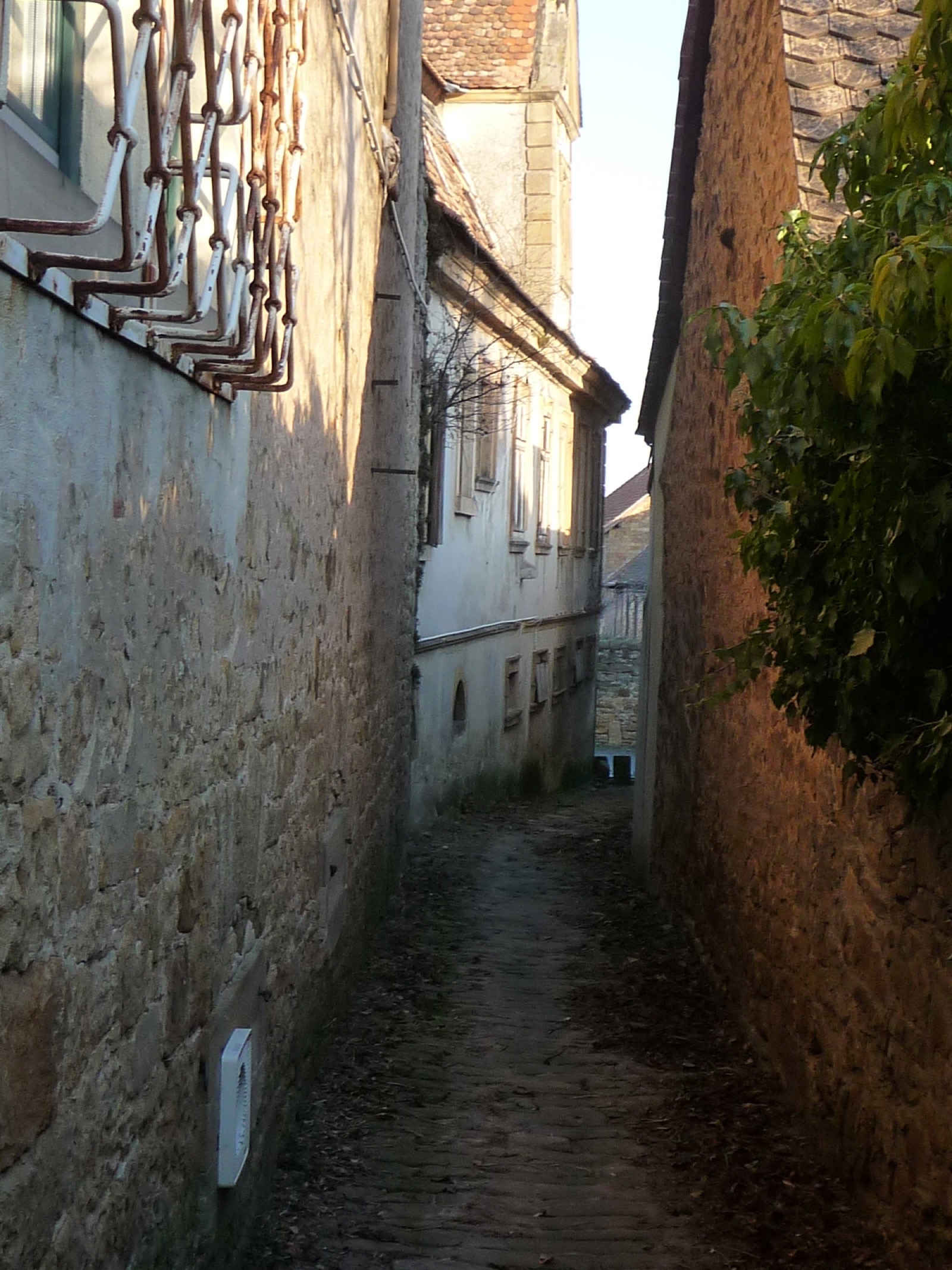 Deidesheim, Wachenheim & Forst: Die Weinorte im Portrait