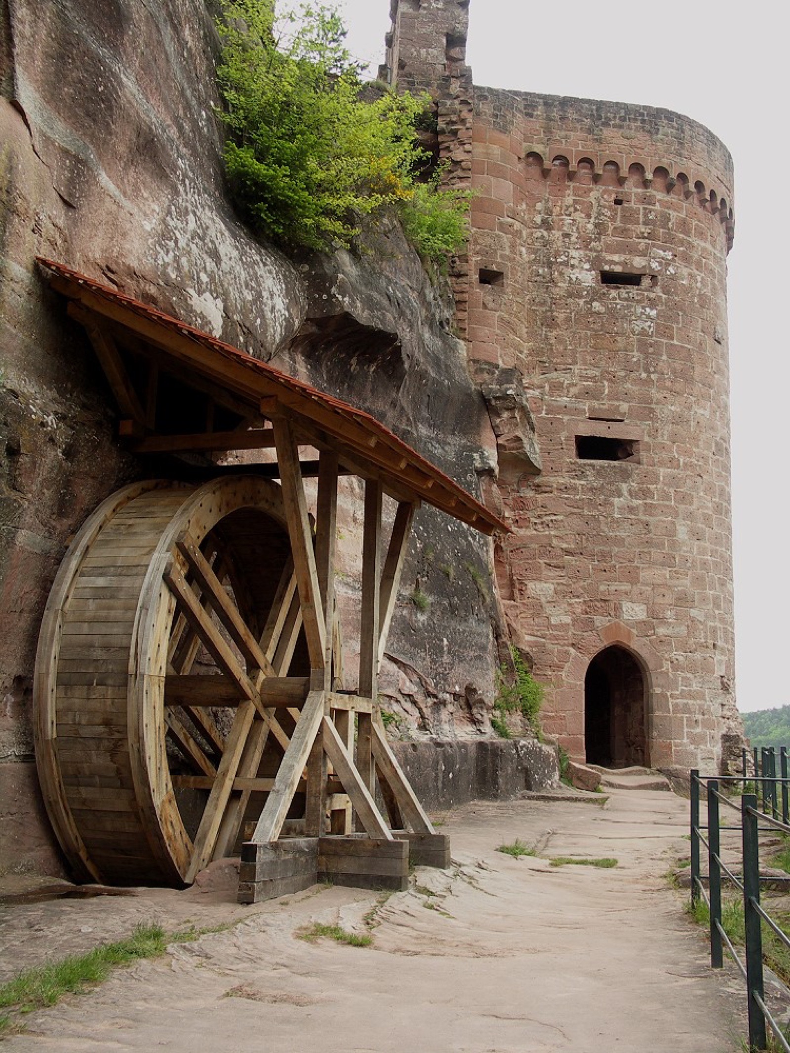 Die 3-Burgen-Tour bei Dahn: Tagesausflug in den Pfälzerwald