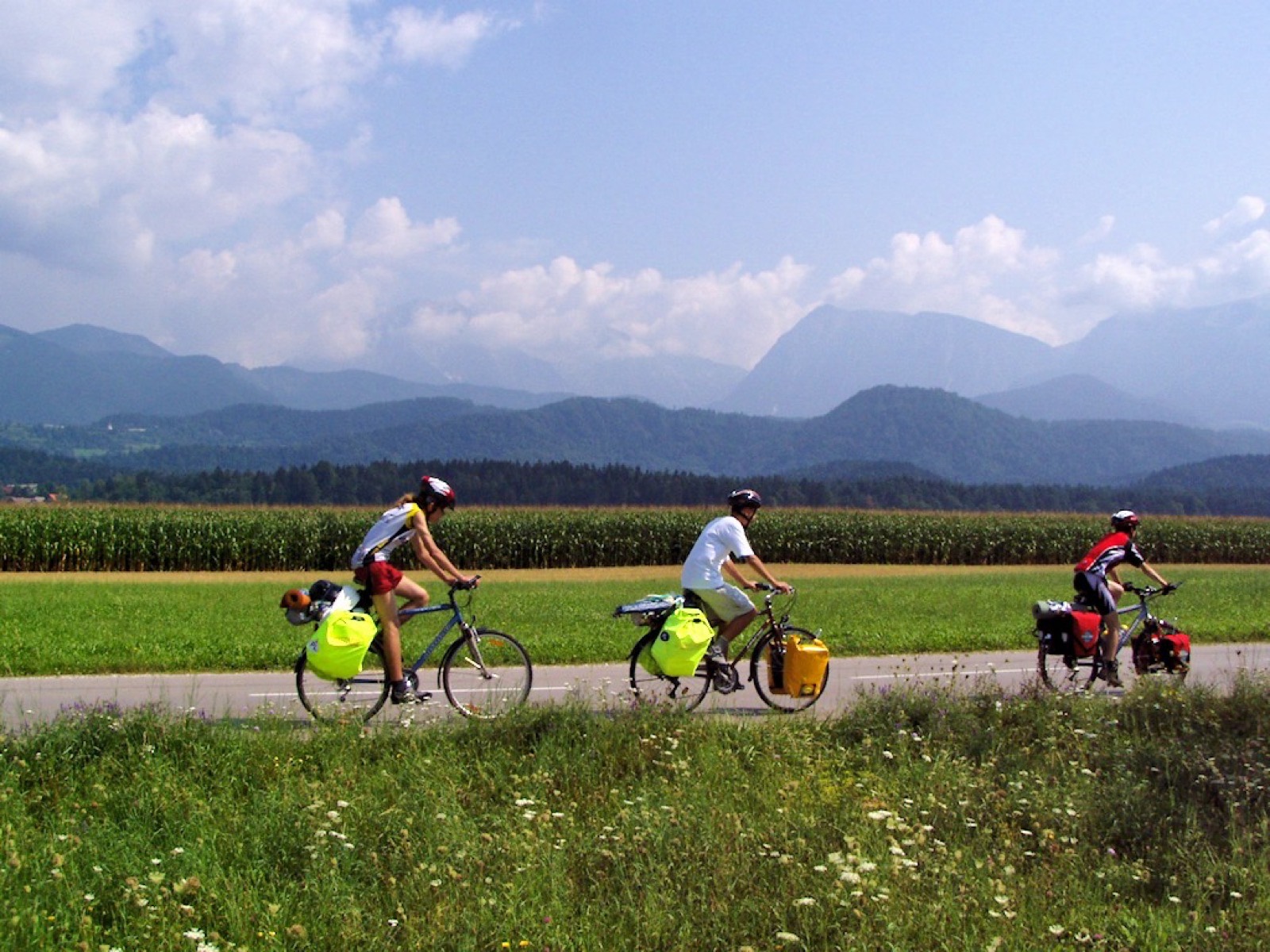 E-Bike-Touren rund um Forst und die Südliche Weinstraße