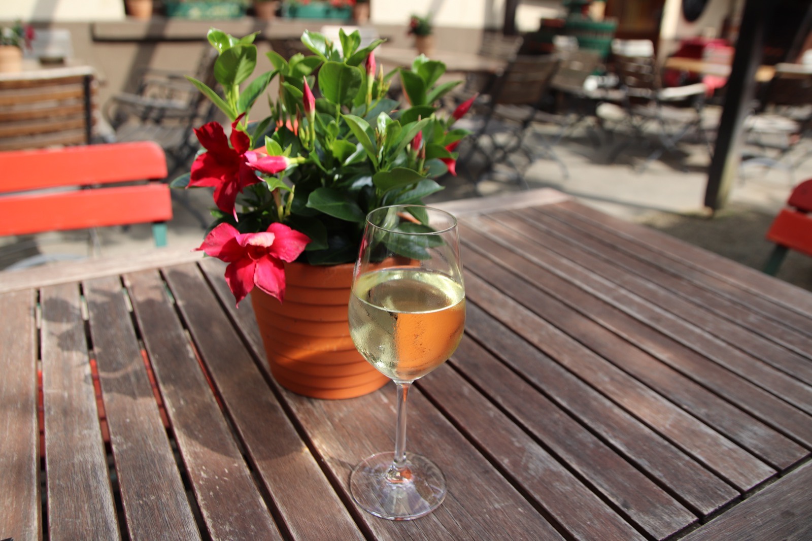 Pfälzer Riesling einfach erklärt