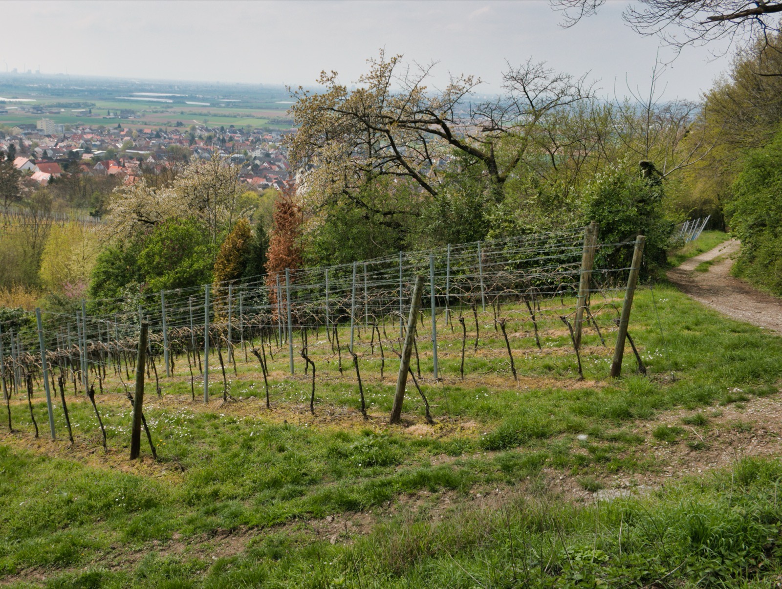 Wanderwochenende in der Pfalz: Die 2-Tages-Tour mit Einkehr