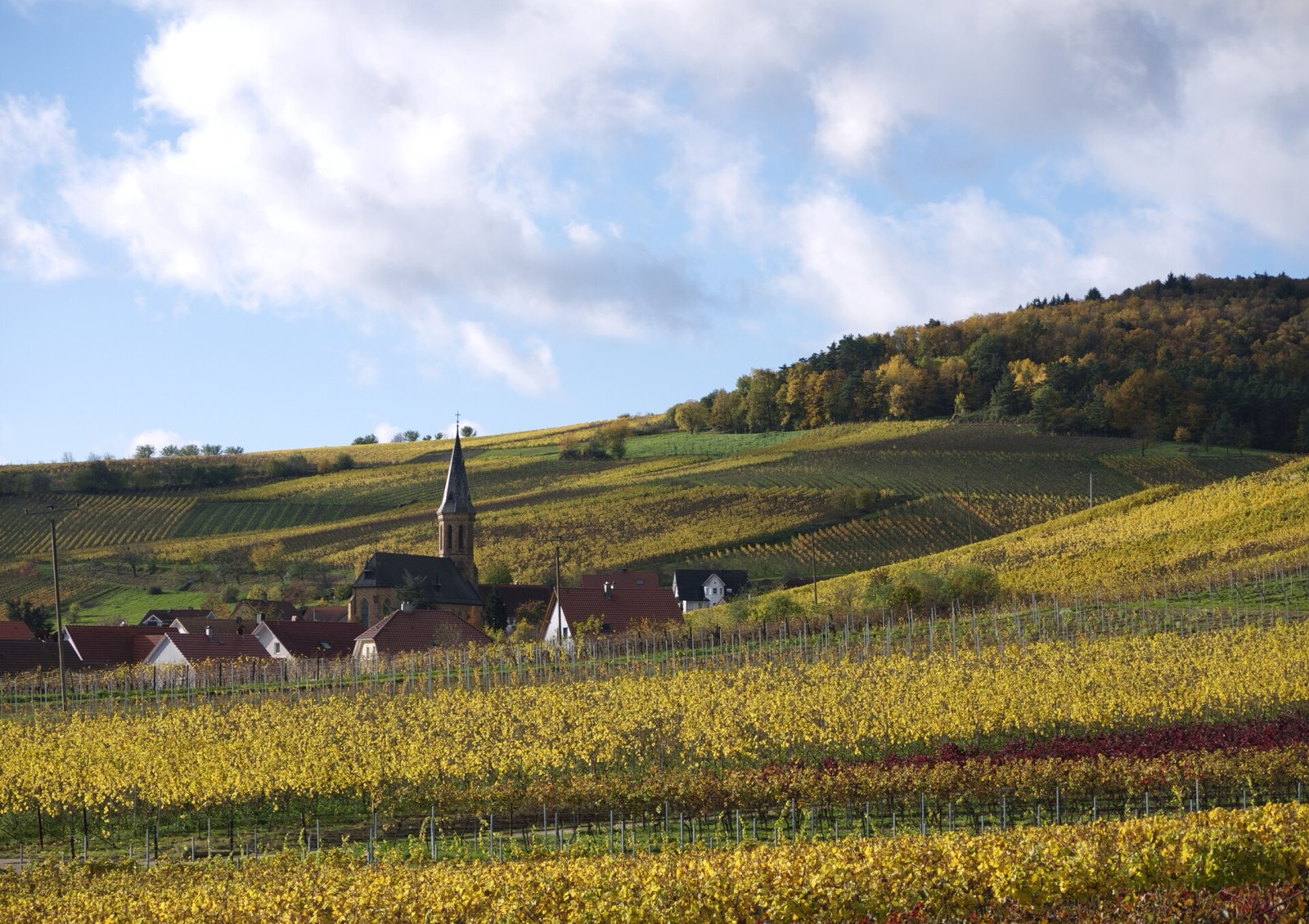 Wochenausblick an der Weinstraße: Keschdezeit, Kastanienwanderungen und ein Erlebnissonntag in Neustadt